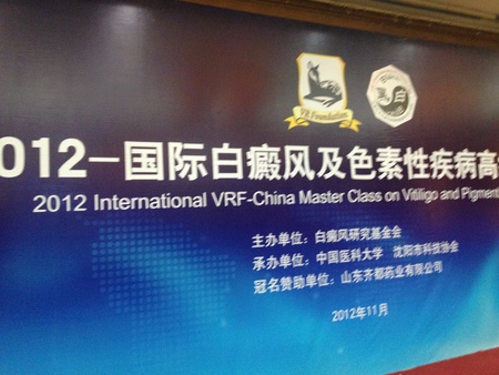 2012 International VRF-China Master Class