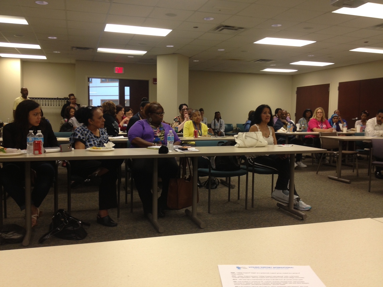 World Vitiligo Day 2013 Detroit - audience